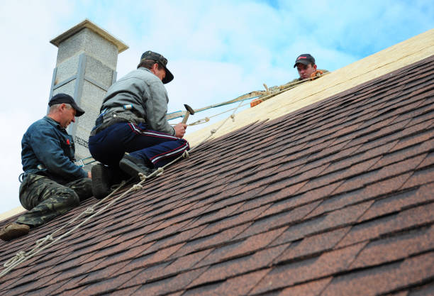 Best Gutter Installation and Roofing  in Ashland, WI
